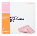 Foam Dressing Allevyn Gentle Border 2 X 2 Inch with Border Silicone Gel Sterile
